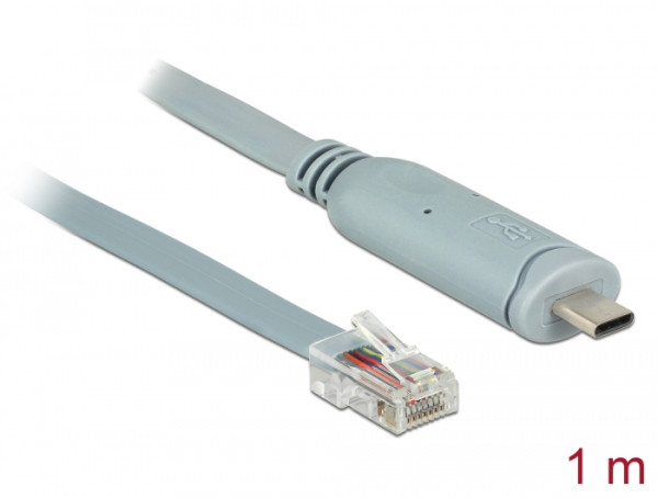 DeLOCK 89893 Serien-Kabel Grau 1 m USB 2.0 Type-C RJ45 (89893)