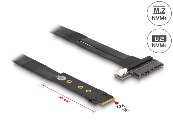 DeLOCK M.2 Key M zu U.2 SFF-8639 NVMe Adapter mit 20 cm Kabel (64216)