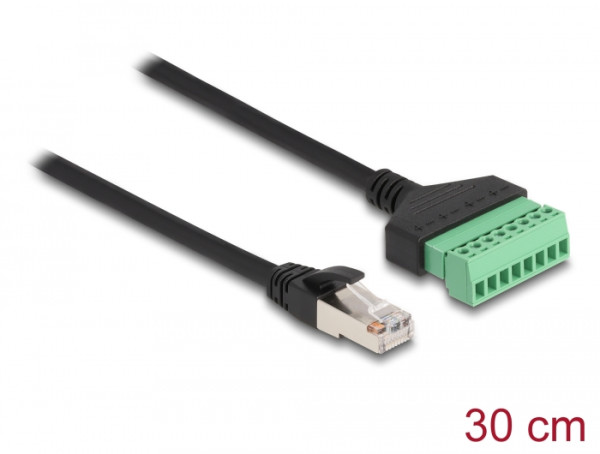 DeLOCK RJ45 Kabel Cat.6 Stecker zu Terminalblock Adapter 30 cm 2-teilig (65975)