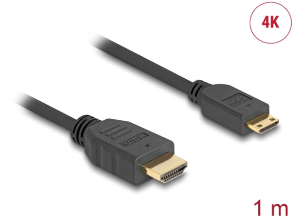 DeLOCK 1m HDMI/HDMI HDMI-Kabel HDMI Typ A Standard HDMI Type C Mini Schwarz (83132)