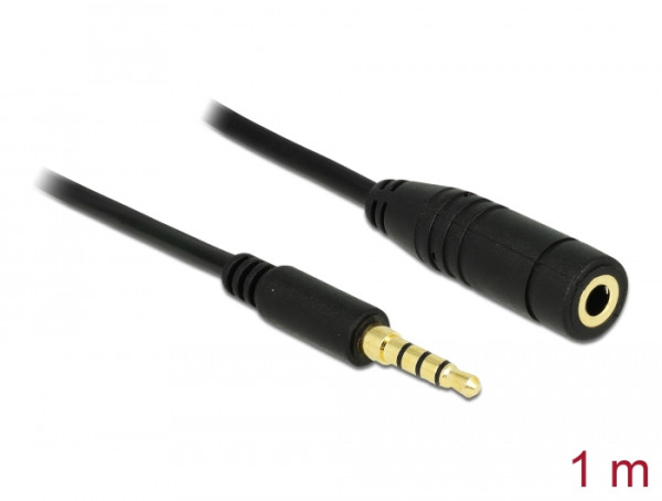 DeLOCK 84666 Audio-Kabel 1 m 3.5mm Schwarz (84666)