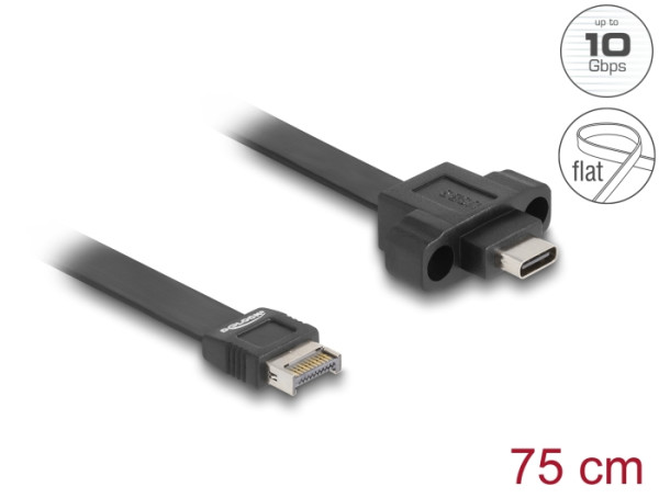 DELOCK USB 10 Gbps Flachbandk Typ-E KeyA (85760)