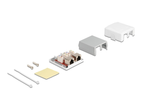 DeLOCK 86197 Steckdose 2 x RJ-45 Weiß (86197)