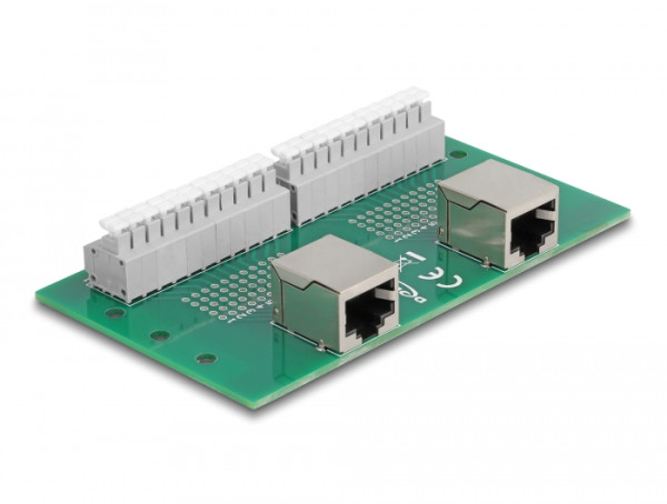 DeLOCK RJ50 2 x Buchse zu 2 x Terminalblock mit Drucktaster für Hutschiene (67014)