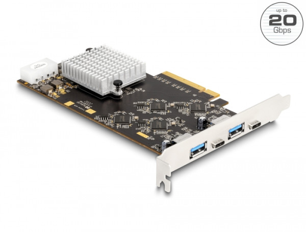 DELOCK PCI Express x8 Karte mit 2 x USB (90097)