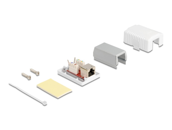 DeLOCK 86196 Steckdose RJ-45 Weiß (86196)