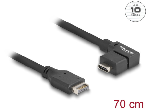 DELOCK USB 10 Gbps Kabel Typ-E Key A (85759)