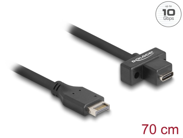 DELOCK USB 10 Gbps Kabel Typ-E Key A (85776)