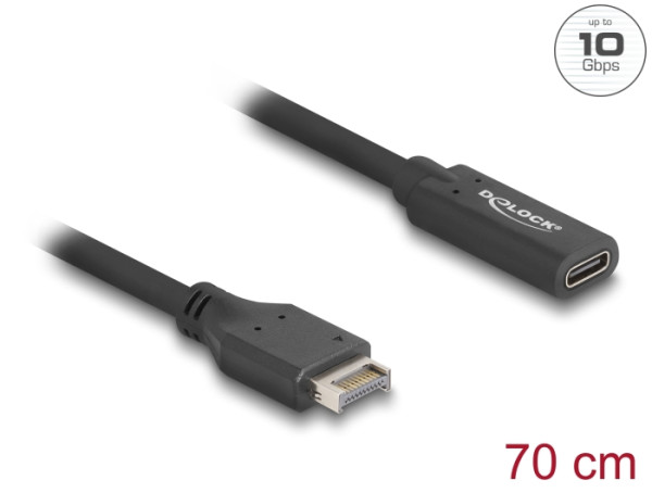 DELOCK USB 10 Gbps Kabel Typ-E Key A70cm (85666)